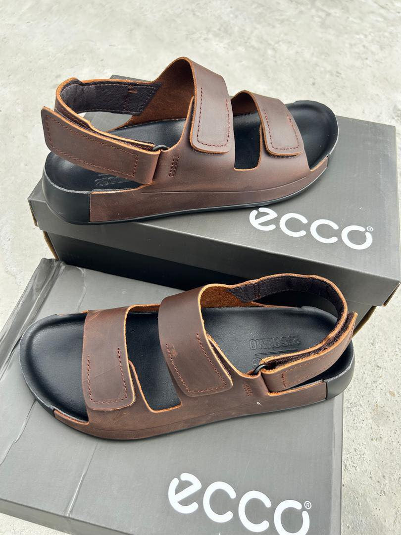 Ecco